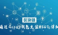 如何通过Gopay钱包充值USDT：详细指南