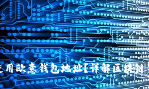 如何安全获取和使用欧意钱包地址？详解区块链钱包的应用与风险