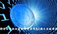 如何选择适合你的加密数字货币钱包？揭示关键