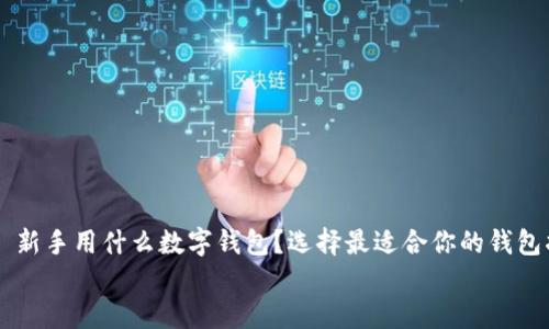 

    新手用什么数字钱包？选择最适合你的钱包指南


    新手用什么数字钱包？选择最适合你的钱包指南