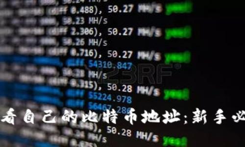 如何查看自己的比特币地址：新手必读指南