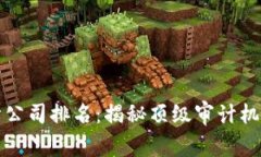 全球最大的审计公司排名：揭秘顶级审计机构的