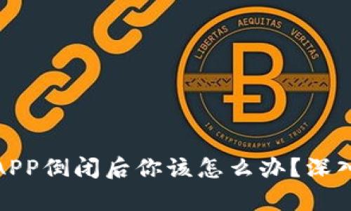 数字货币钱包APP倒闭后你该怎么办？深入解析应对策略
