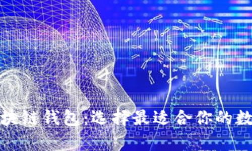 全面了解所有区块链钱包：选择最适合你的数字资产存储方案