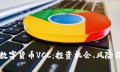 全面解析数字货币VCC：投资机会、风险及未来展