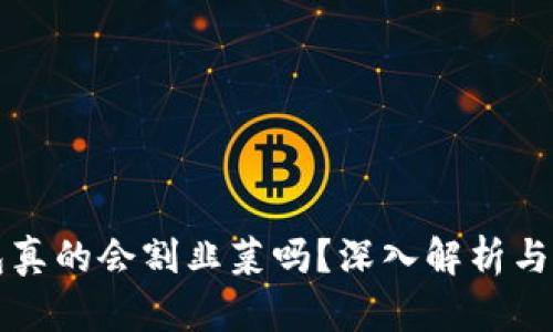 区块链云钱包真的会割韭菜吗？深入解析与用户防范策略