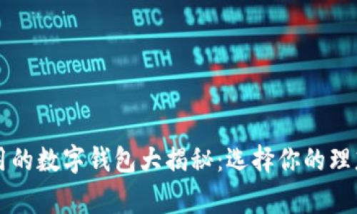 当今最常用的数字钱包大揭秘：选择你的理想支付工具