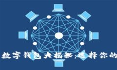 当今最常用的数字钱包大揭秘：选择你的理想支