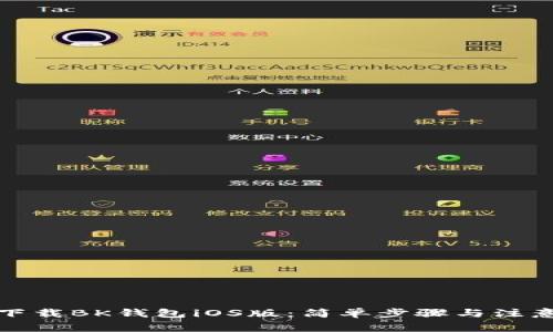 如何下载BK钱包iOS版：简单步骤与注意事项