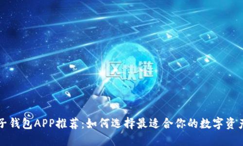 虚拟币电子钱包APP推荐：如何选择最适合你的数字资产管理工具
