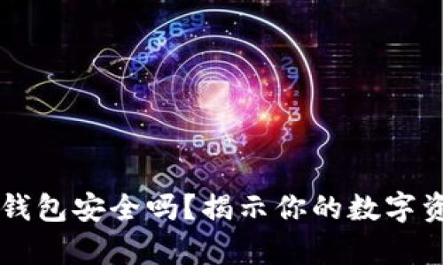 区块链平台钱包安全吗？揭示你的数字资产保护真相