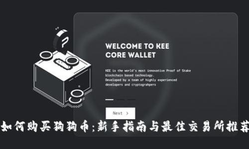 如何购买狗狗币：新手指南与最佳交易所推荐