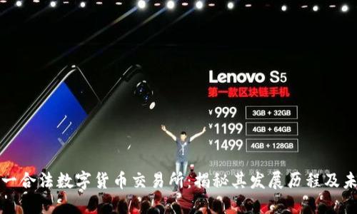 中国唯一合法数字货币交易所：揭秘其发展历程及未来趋势