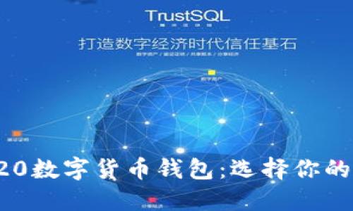 ERC20与TRC20数字货币钱包：选择你的加密资产管理