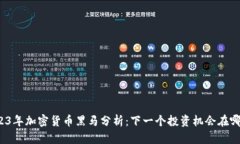 2023年加密货币黑马分析：下一个投资机会在哪里