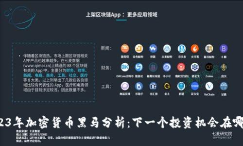 2023年加密货币黑马分析：下一个投资机会在哪里？