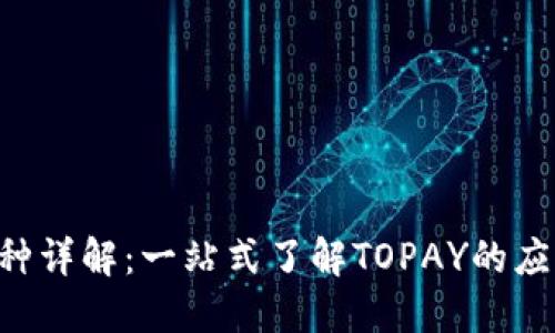 TOPAY币种详解：一站式了解TOPAY的应用与价值