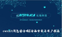 ownbit钱包安全吗？全面分析与用户指南
