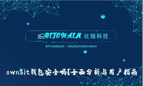 ownbit钱包安全吗？全面分析与用户指南