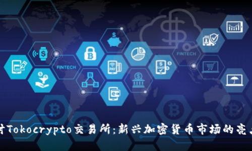 深入探讨Tokocrypto交易所：新兴加密货币市场的亮点与挑战
