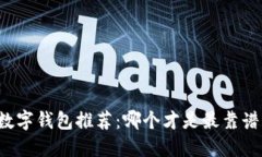 区块链数字钱包推荐：哪个才是最靠谱的选择？