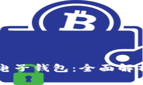 区块链币的电子钱包：全面解析与选择指南