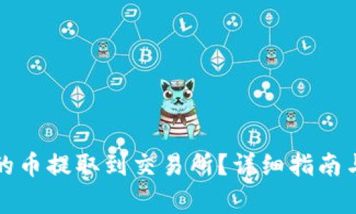 如何将钱包中的币提取到交易所？详细指南与常见问题解答