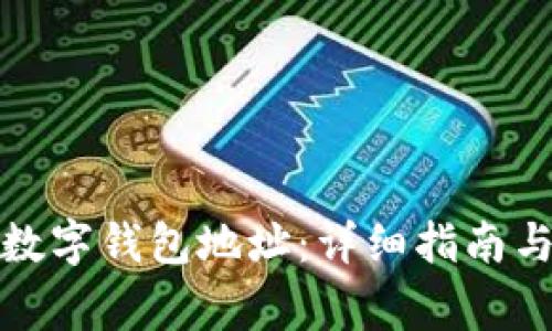 如何快速查询数字钱包地址：详细指南与常见问题解答