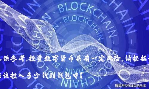 请注意：以下内容仅供参考，投资数字货币具有一定风险，请根据个人情况审慎决策。

数字货币投资：你应该投入多少钱到钱包中？