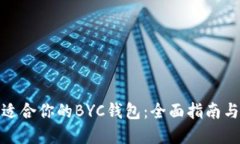 如何选择适合你的BYC钱包：全面指南与实用建议