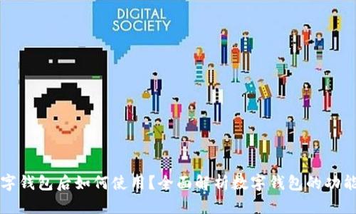 开通数字钱包后如何使用？全面解析数字钱包的功能与技巧