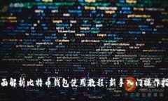 全面解析比特币钱包使用教程：新手入门操作指