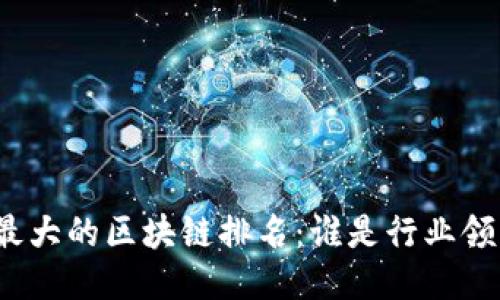 全球最大的区块链排名：谁是行业领跑者？