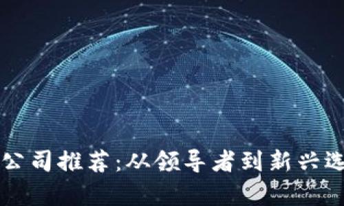 区块链钱包公司推荐：从领导者到新兴选手全面解析