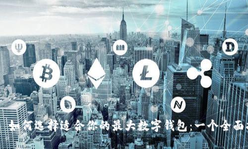 ## 如何选择适合你的最大数字钱包：一个全面指南