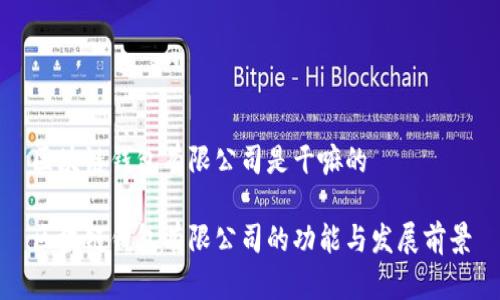 区块链钱包有限公司是干嘛的

区块链钱包有限公司的功能与发展前景