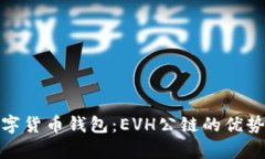 探寻数字货币钱包：EVH公链的优势与前景