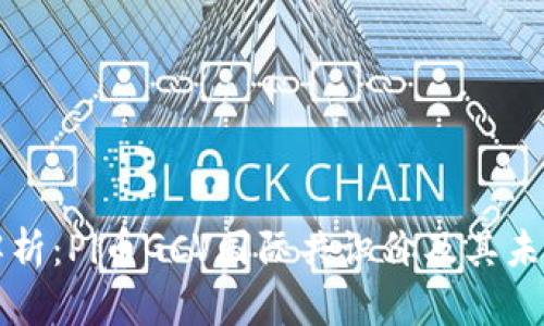 深入解析：Pi币GCV国际共识价及其未来发展