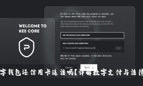 用数字钱包还信用卡违法吗？详解数字支付与法律风险
