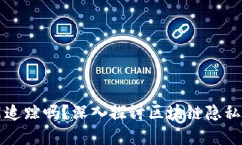 虚拟币能追踪吗？深入探讨区块链隐私与透明性