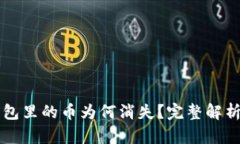 虚拟货币钱包里的币为何消失？完整解析与解决
